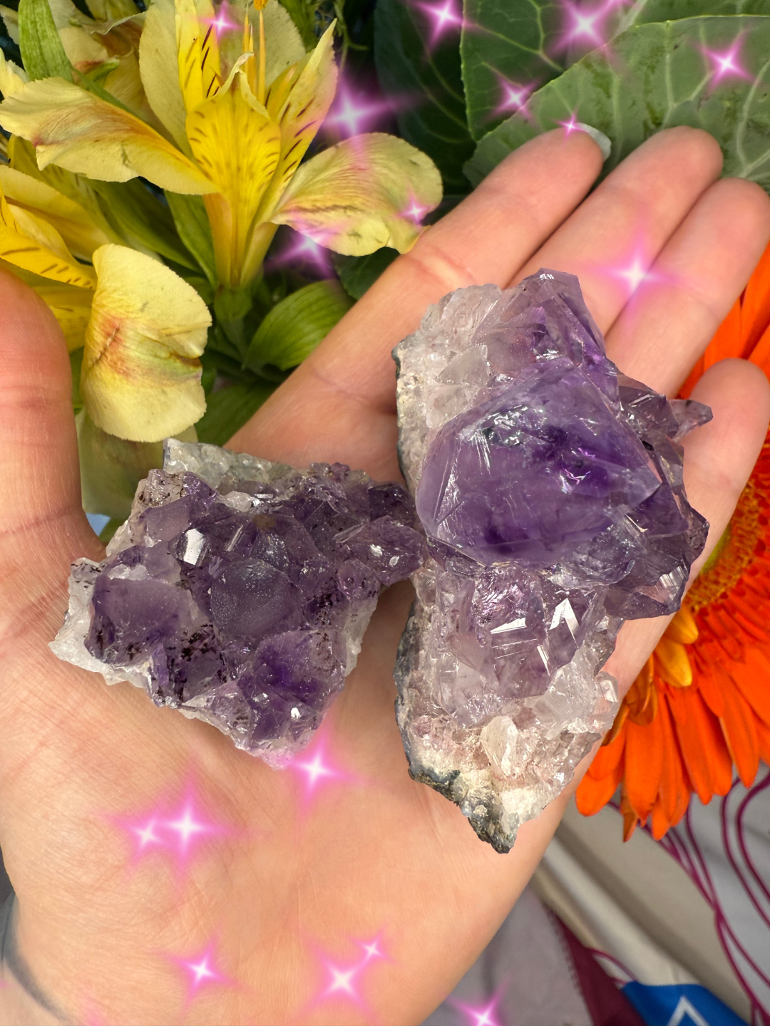 Amethyst Pair