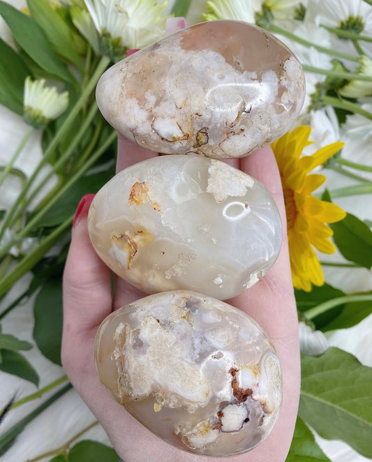 Flower Agate Palms